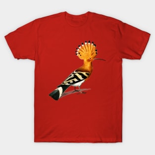 Vintage huppe commune bird-animalia T-Shirt